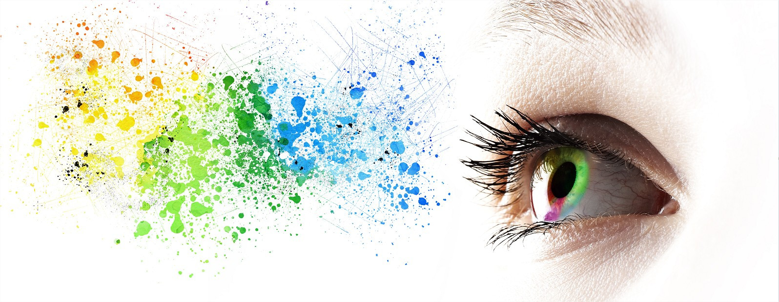 slideshow banner